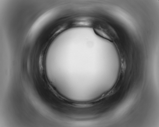X0000083591487200703091709