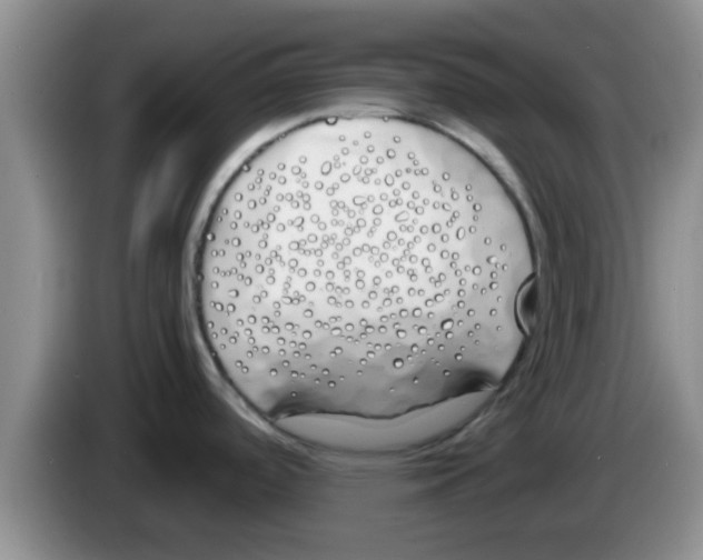 X0000083591488200703091709