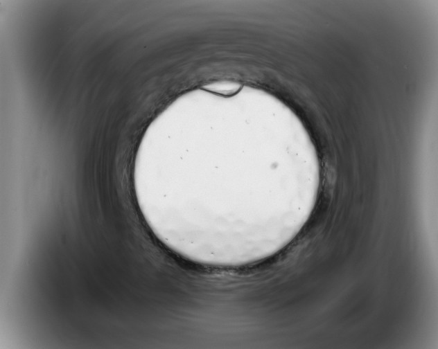 X0000083591489200703091708
