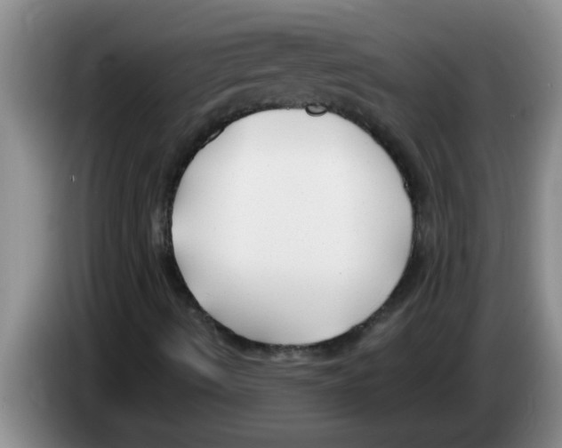 X0000083591490200703091708