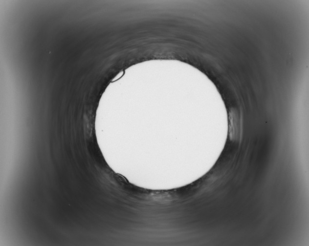 X0000083591491200703091708