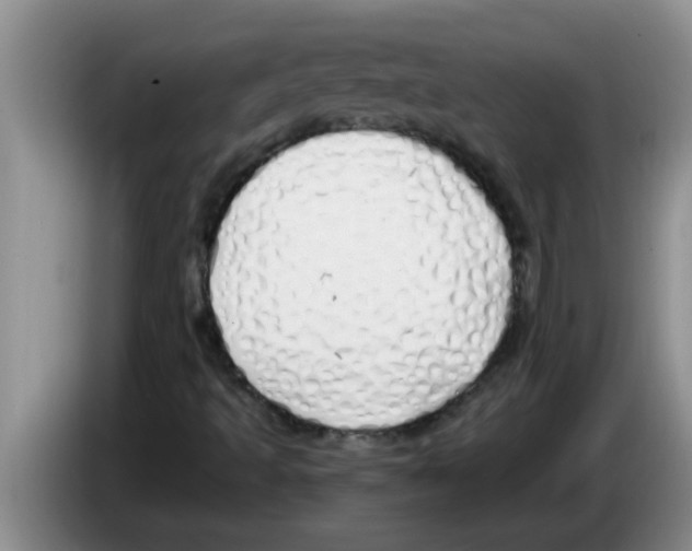 X0000083591493200703091708