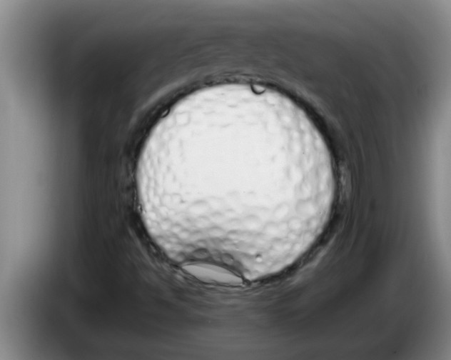 X0000083591494200703091708