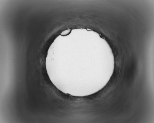 X0000083591495200703091708