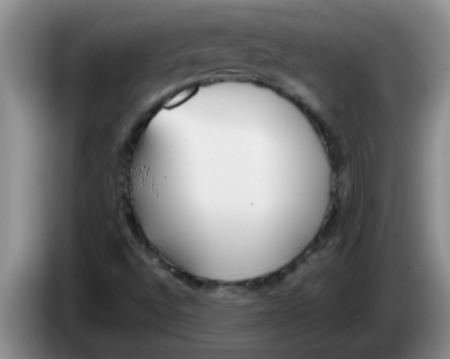 X0000083591496200703091708