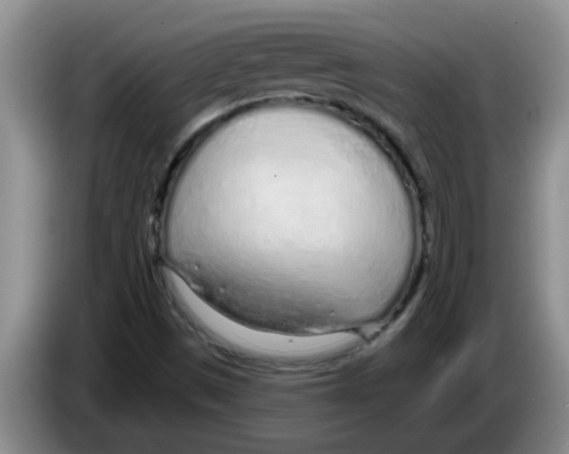 X0000083591497200703091708