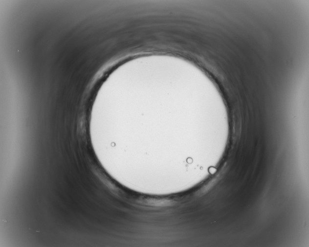 X0000083591498200703091708