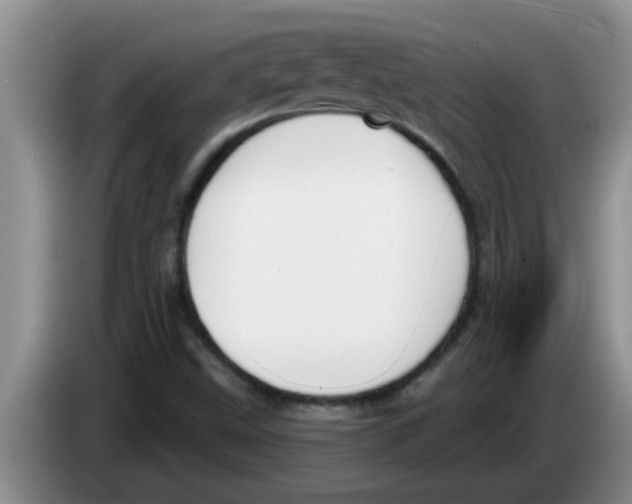 X0000083591499200703091708