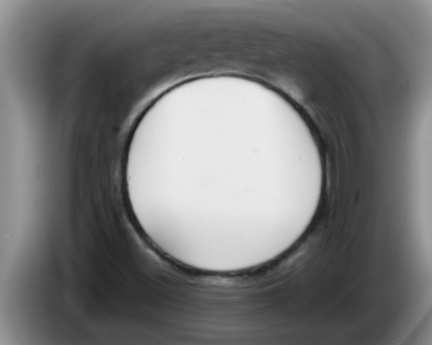 X0000083591500200703091708