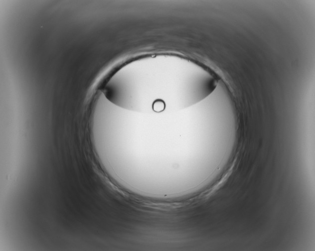 X0000083591502200703091708