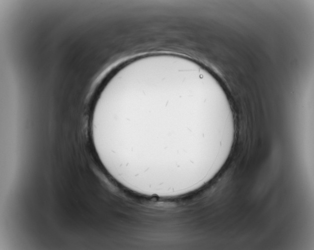 X0000083591503200703091708