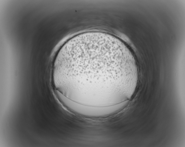 X0000083591504200703091708