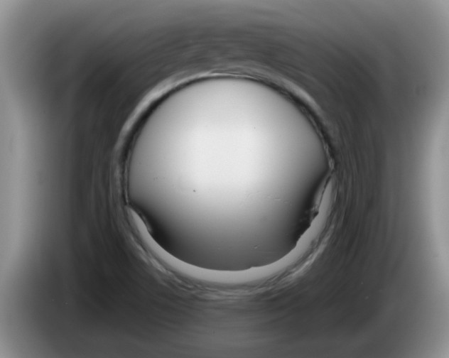 X0000083591506200703091708