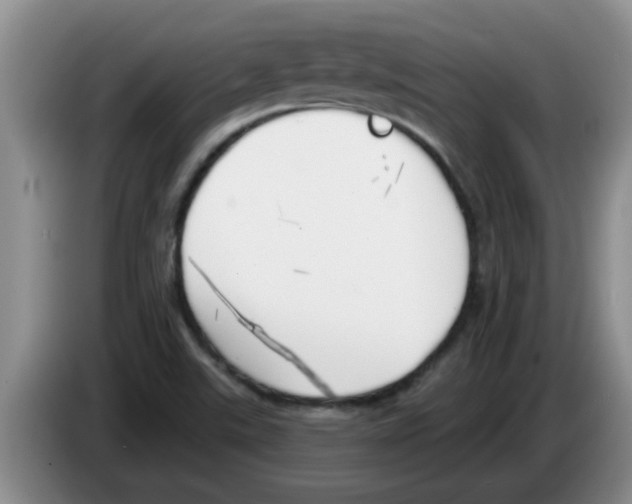 X0000083591507200703091708
