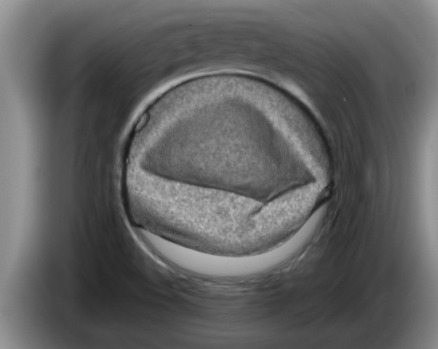 X0000083591508200703091708