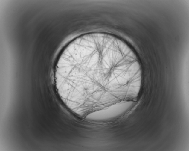 X0000083591509200703091708