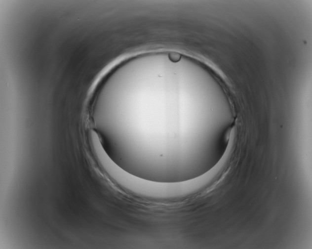 X0000083591510200703091708