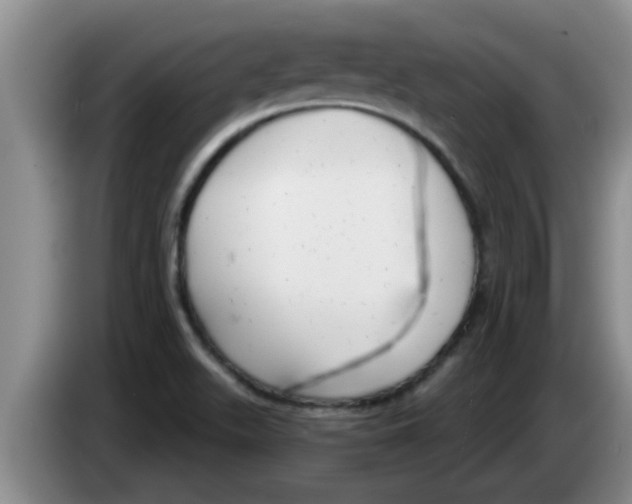 X0000083591511200703091708