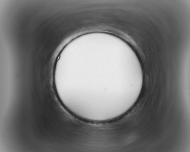 X0000083591512200703091708