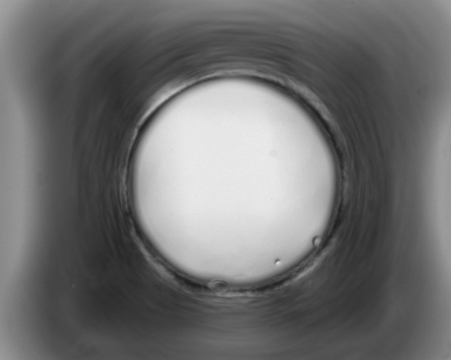 X0000083591513200703091708