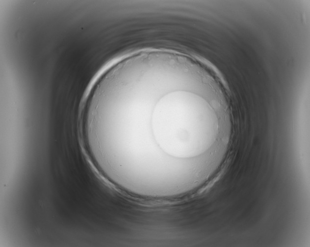 X0000083591514200703091708