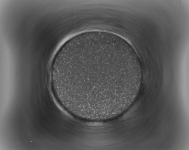 X0000083591515200703091708