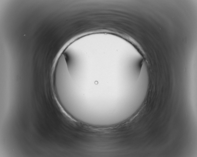 X0000083591516200703091708