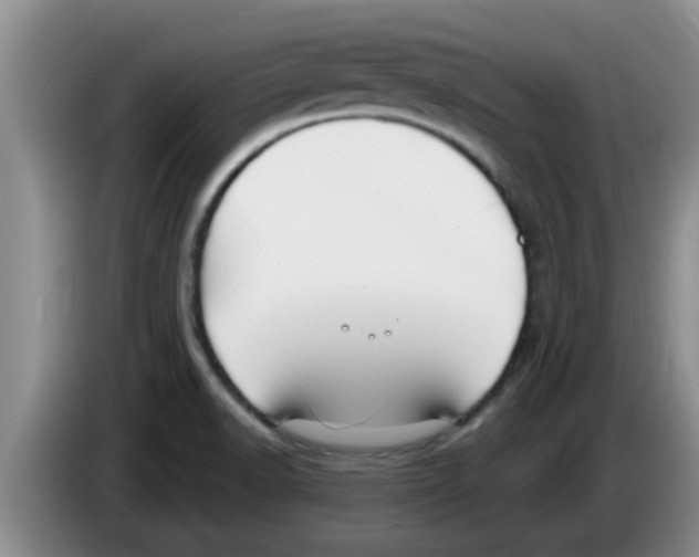 X0000083591518200703091708