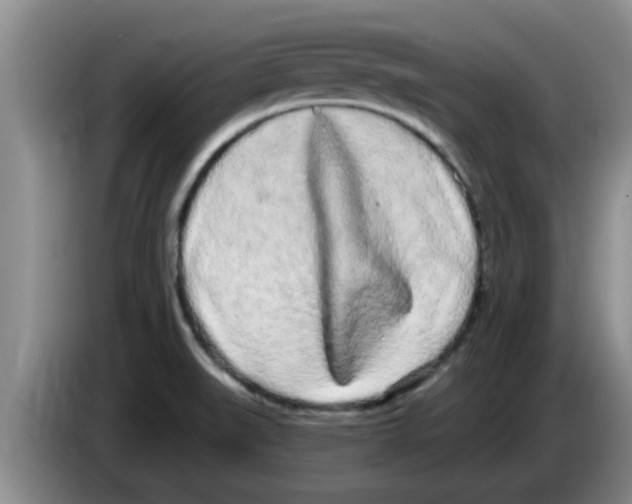 X0000083591519200703091708