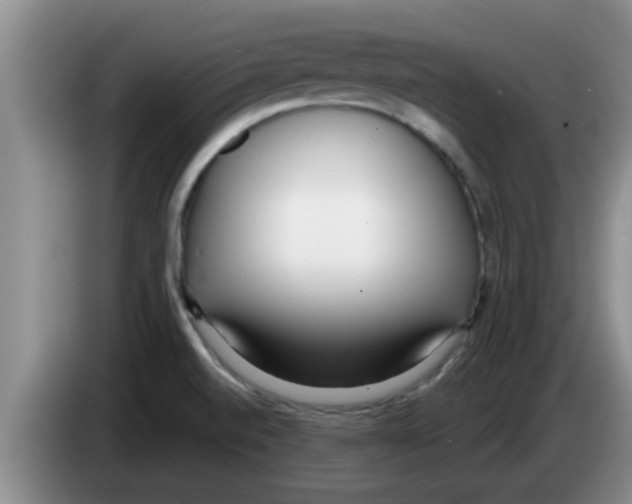 X0000083591520200703091708