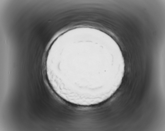 X0000083591522200703091708