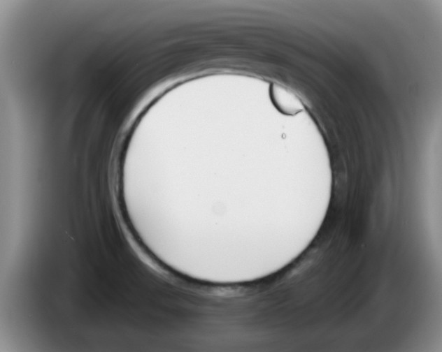 X0000083591523200703091708