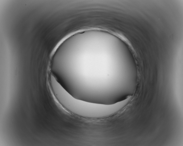 X0000083591524200703091708