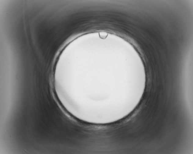 X0000083591525200703091708