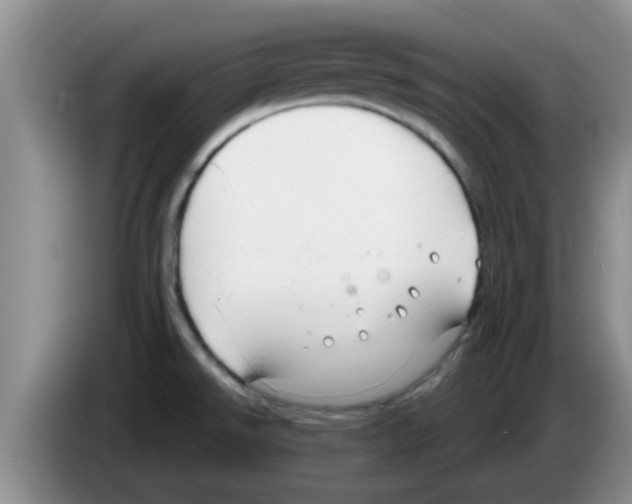 X0000083591526200703091708