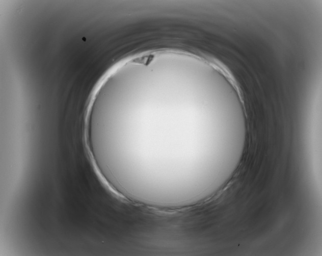 X0000083591528200703091708