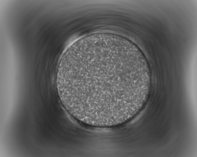 X0000083591529200703091709