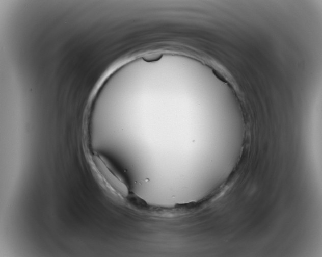 X0000083591530200703091709