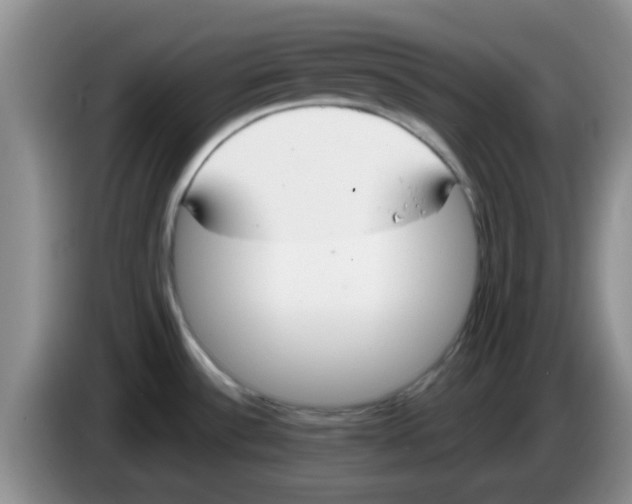 X0000083591532200703091709