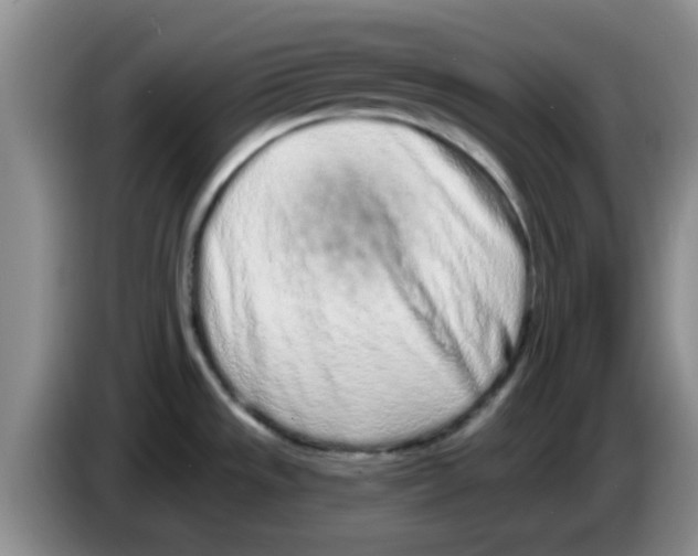 X0000083591533200703091709
