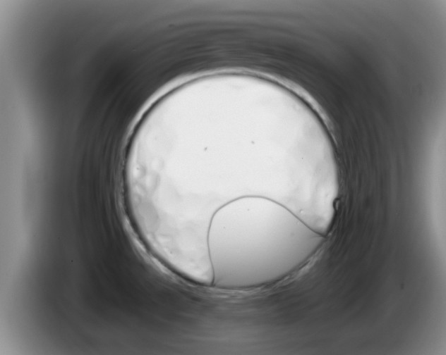 X0000083591534200703091709