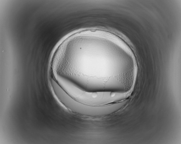 X0000083591536200703091709