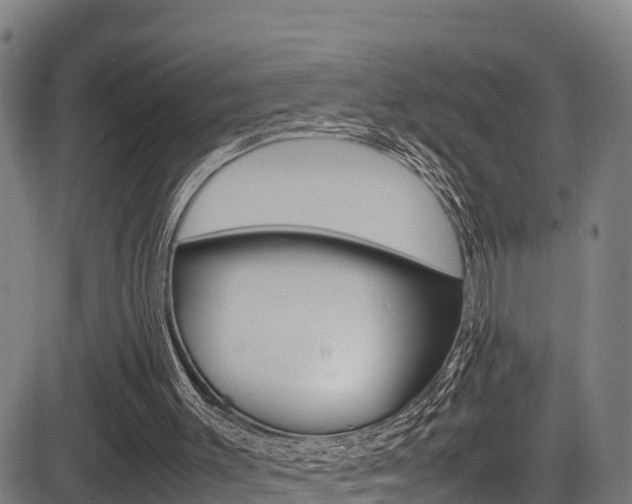 X0000083600003200702090918