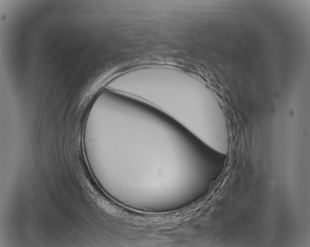 X0000083600005200702090918