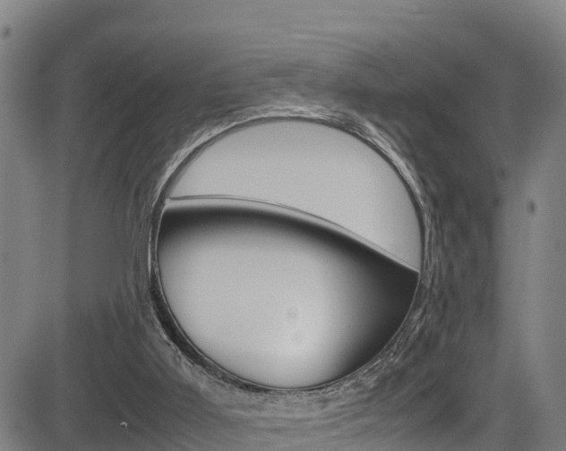 X0000083600011200702090918