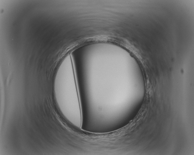 X0000083600013200702090918