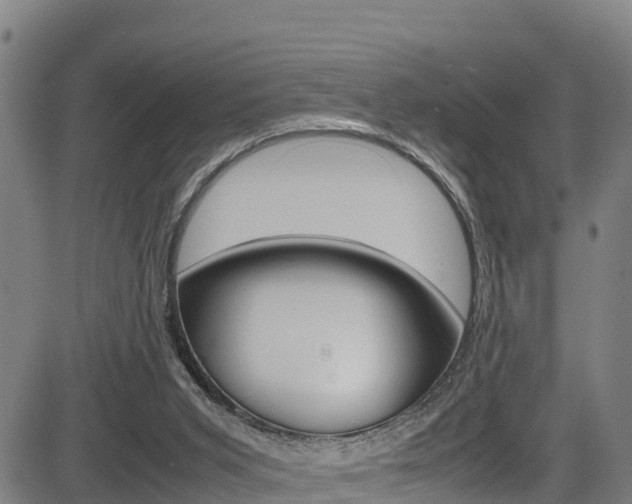 X0000083600015200702090918