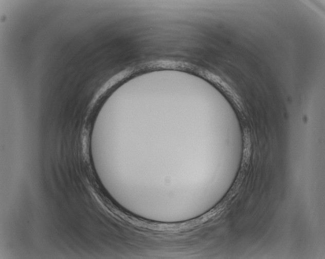 X0000083600016200702090918