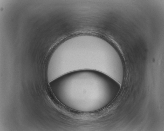 X0000083600020200702090918