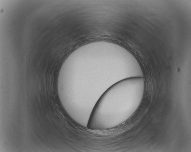 X0000083600030200702090918